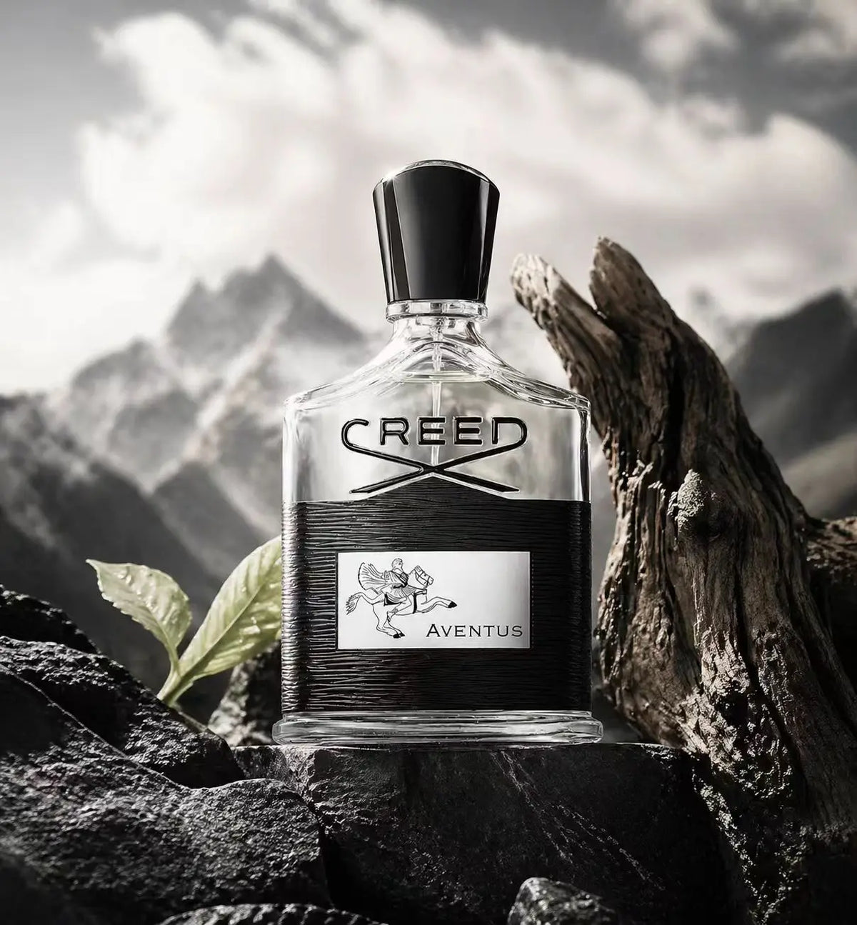 Bold & Timeless Eau de Parfum – Unisex Fragrance